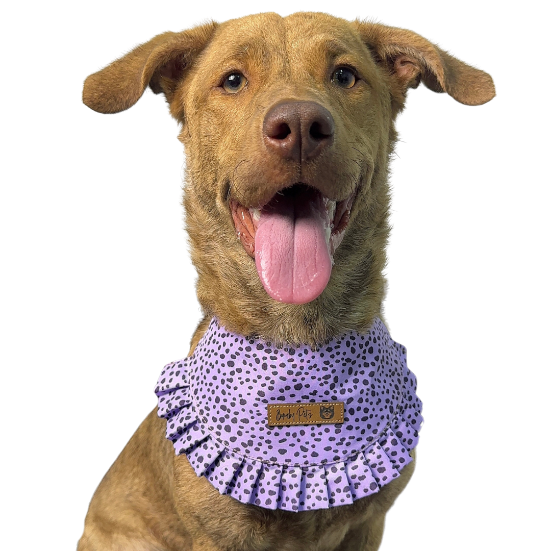 Bandana Bolero