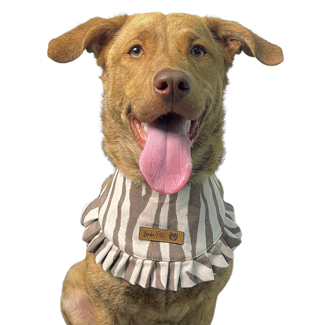Bandana Bolero