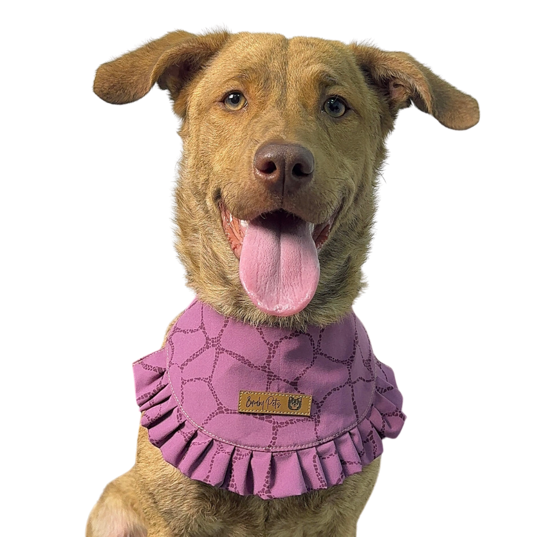 Bandana Bolero