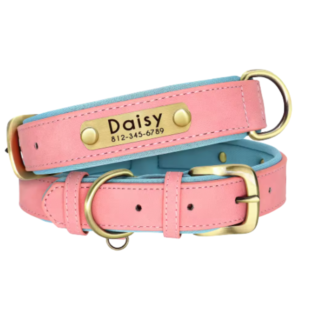 Collar de Cuero Acolchado Personalizado