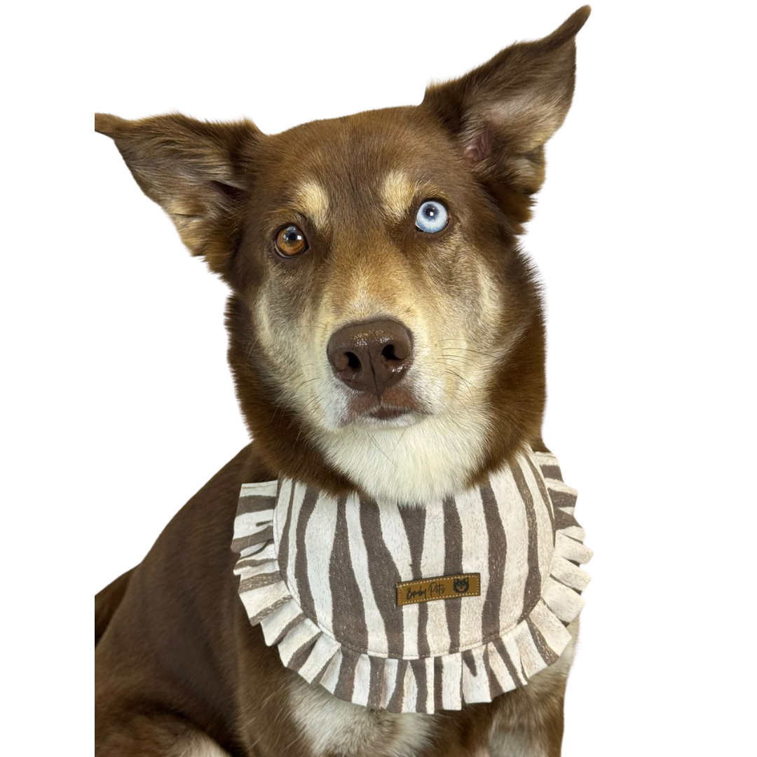 Bandana Bolero Cebra