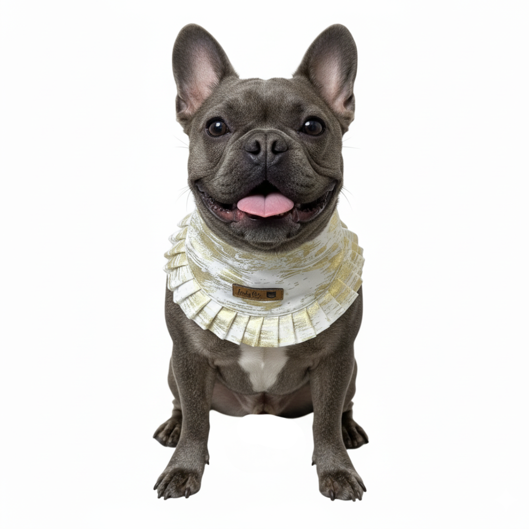 Bandana Bolero Dorado